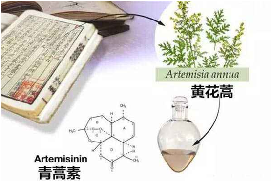 半岛官网,半岛（中国）：向中医药看齐，与世界共享中医药文化(图1)